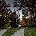 Student Government at Michigan State University: A Comprehensive Guide to Admissions, Academic Programs, and Student Life